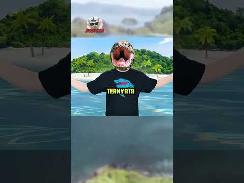 inilah 3 hewan purba yang masih hidup sampai sekarang😱