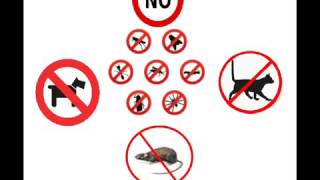 Des sons pour faire peur ou pour chasser : des chiens, des chats, des rats, des oiseaux