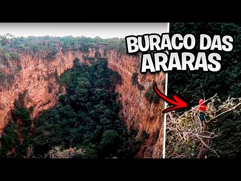 BURACO DAS ARARAS - CONHECAM ESSE PARAISO DE PERTO