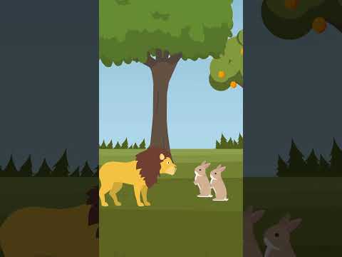Lion And Rabbit | The Jungle Story | Cartoon | #cartoonstories
