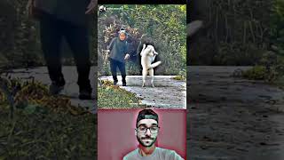 Video made my day 😎❤️ WhatsApp Status #shorts Billionaire Attitude Status🔥 #motivational #quotes