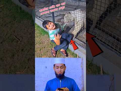 বাঘ গেঞ্জি ধরে ফেললো তারপর দেখুন বাচ্চাটা অবস্থা! #amonmoron #music #viralvideo #foryou #videos #bd
