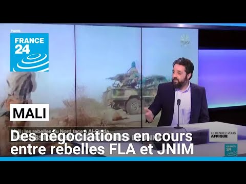 Mali : des négociations en cours entre Touaregs et JNIM • FRANCE 24