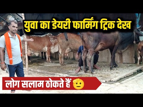 18 माह पहले किस परिस्थिति से शुरू किए थे फार्म/dairy farm up/small dairy farm/hf cross cow/hf cow