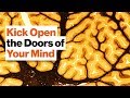 Understanding Cognitive Flexibility and Critical Thinking