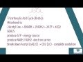 Cellular Metabolism and Energy Production