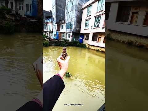 Where is deer child hiding😱?Oh My God #Catsoftiktok#CatLovers #cat #cute #FunnyCats#catcartoon#sorts