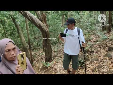 Mendaki Gunung Bulu Saukang Maros pos 3 ke pos 4