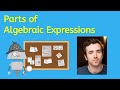 Understanding Algebraic Expressions and Variables