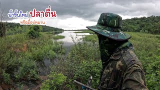 ออกหมายหาปลาช่วงน้ำขึ้นใหม่ บ่หมานซ่ำผู้ซิดเบ็ดอยู่ห้วย