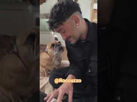 Roccuzzo signing to dog 🎙️🐕