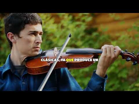 Un poco de historia del Violin