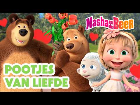 Masha en de Beer ๐ฑโโ๏ธ๐ป Pootjes van liefde ๐พ๐ Valentijnsdag โค๏ธ Aflevering collectie ๐ฌ