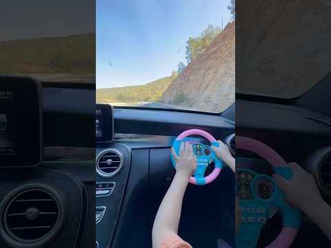 Fun steering wheel !!!