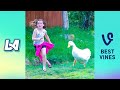Animal Encounters and Reactions