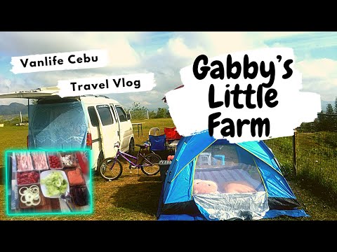 Gabby's Little Farm