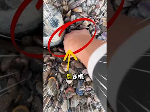 ゴミの中から世界一高価な石を見つけた男！😱💎