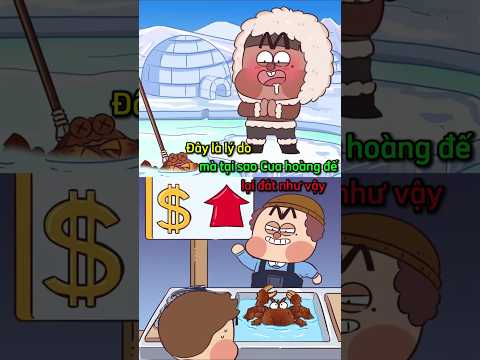 Đây là lý do tại sao Cua hoàng đế lại đắt như vậy~