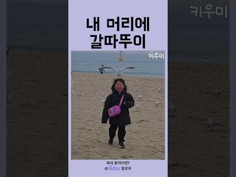 내 머리에 갈따뚜이