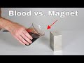 Magnetic Properties of Blood and Water