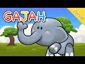 Understanding Elephants' Unique Traits