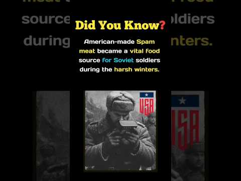 American Spam Saved Soviet Soldiers from Starving in WWII Winters! 🇺🇸❄️#usa #shorts