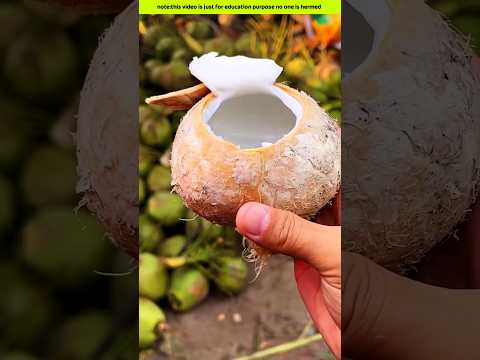 What did it get in the young coconut?😱 #shorts #facts