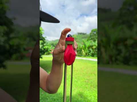 A marble shooting game with a pig as the target, let's watch the results! #shortsvideo