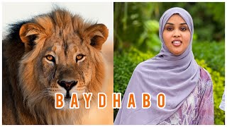 MARKI LABAD AAN BOQDAY JANAY MAFILENIN IN LIBAX KU ARKI DOONO