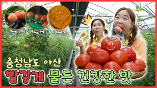 빨갛게 물든 건강한 맛 [6시N내고향] / KBS 방송