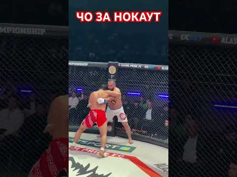 ℹ️ Бобыр Абдулазизов вот нокаут года 🔥🔥🔥🔥🔥🙀🙀🙀🙀🙀 #mma #tezkunda #octagon #ufc #rek #sports