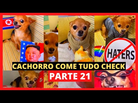 Meu Cachorro Come Tudo Check Parte 21