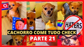 Meu Cachorro Come Tudo Check Parte 21