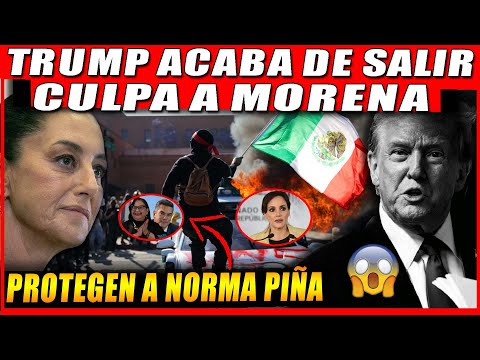 TRUMP ANDA INCONTROLABLE, SEÑALAN A MORENA, DENUNCIA CONTRA TADDEI ES OFICIAL, LA DRA LE DA CON TODO