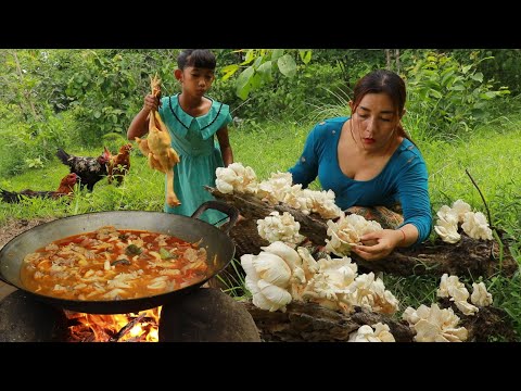 Pick natural plant in rainforest- Cooking chicken spicy with mushroom tasty delicious for dinner
