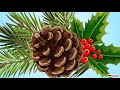Adaptations of Plants in Hilly Regions