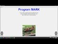 Data Processing in Program Mark