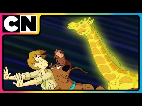 Scooby Doo 🐶| Gang’s Faceoff with Octoagle! 🐙🦅| #compilation | #90s | @cnindia