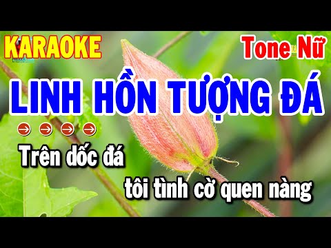 Karaoke Linh Hồn Tượng Đá Tone Nữ Nhạc Sống Trữ Tình Hay 2025 | Thanh Hải