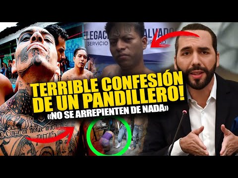 Bukele no se esperaba que este Pandiller0 confesara a cuantas pers0nas mat0 en El Salvador!