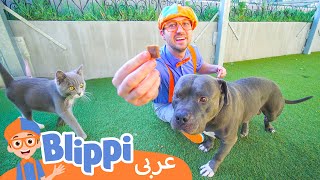 بليبي يزور ملجأ للحيوانات | افلام ومسلسلات كرتون واغاني اطفال