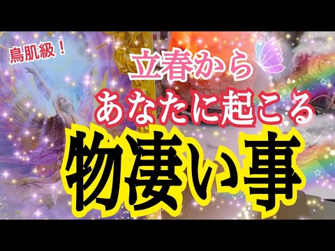 【超鳥肌🕊️神展開でした】🌸立春からあなたに起きる物凄い事❗️😳個人鑑定級タロット占い🔮⚡️