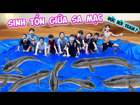 Bắt Cá Lóc Sinh Tồn Giữa Sa Mạc Troll Đức Rời Team