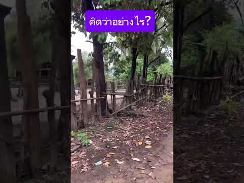 คิดว่าอย่างไร