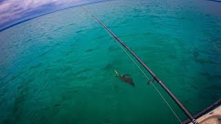 Squid Fishing from Kayaks In Jervis Bay