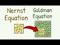 Nernst and Goldman Equations Overview