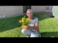 Comprensió del vídeo de F. Flores