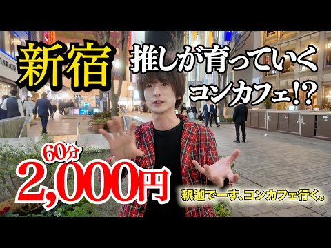 【60分2000円】推しが育つドラ◯エみたいなコンカフェに潜入 #まじかるらんくあっぷ
