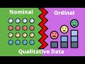 Understanding Data Types and Properties