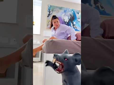 Raju made a fake dog for Champa😱🐸#short #funny #funnyvideo